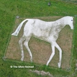 white horse figure on hillside