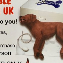 First Aid for Dog Owners/Carers