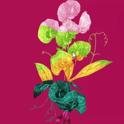 Coach Trip - RHS Badminton Flower Show, 2 nights stay 4* Hotel and Spa and Stratford-upon-Avon