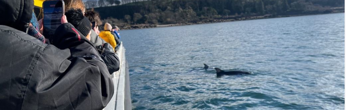Owner Dolphin Spotting Boat Trip