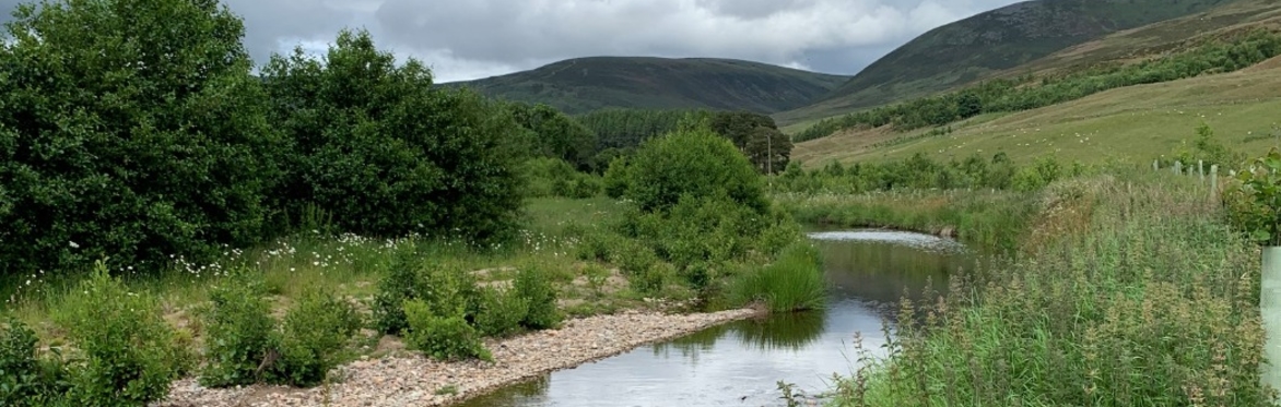 Riparian Planting: Why and How? with Richard Lockett, Knockbain Farm, Dingwall and Dee Ward, Rottal Estate, Angus