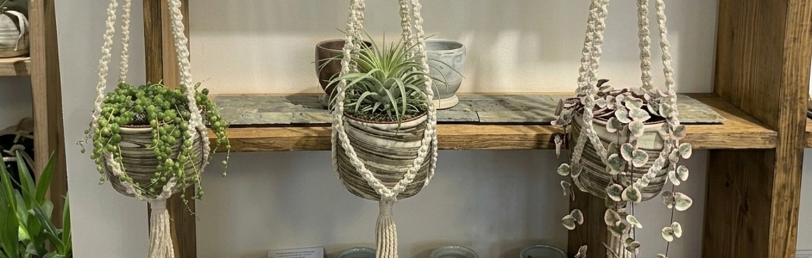 Macrame plant hanger