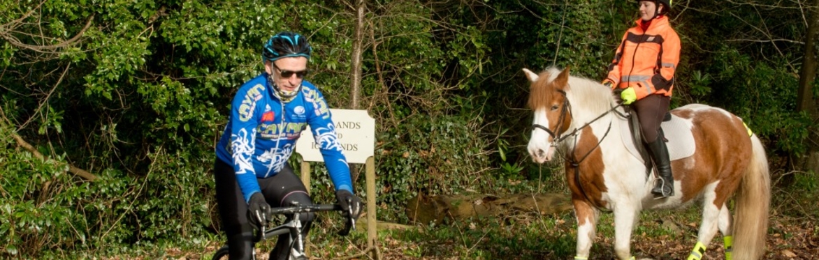 Be Nice, Say Hi – How Horses And Bikes Can Share The Trails