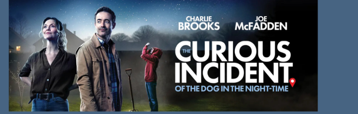 Community | Wellbeing | Captioned The Curious Incident of the Dog in the Night Time Performance