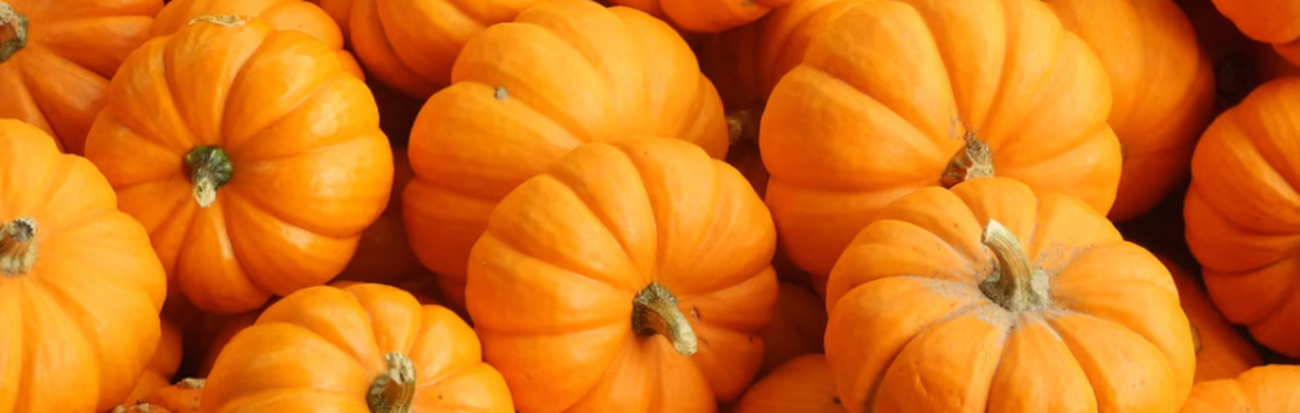 Pumpkin Paint & Sip at Fable Bar. & Co.