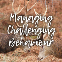 Personal Development - Session 10 - Managing Challenging Behaviour - Wellbeing Series 2026