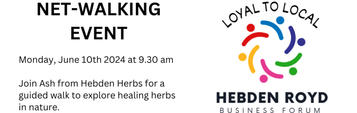 NetWalking and Summer Foraging with Ash from Hebden Herbs
