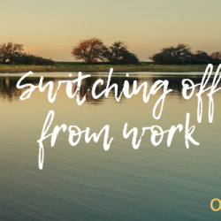 Management Development - Session 7 - Switching off from Work - Wellbeing Series 2026