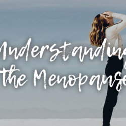 Personal Development - Session 9 - Understanding Menopause - Wellbeing Series 2026