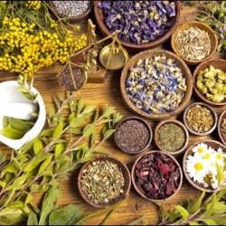 Introduction to Herbalism with Claudia Nagy