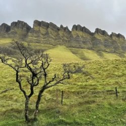 Climate Café for Artists
