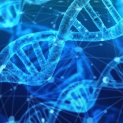 Image of DNA strand