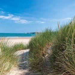 Studland Beach