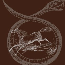 Horses & Hexes: The Trial of Mary Ingelman
