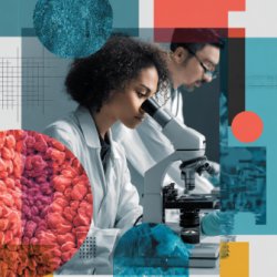 Translational Research Funding Application Clinics 2026