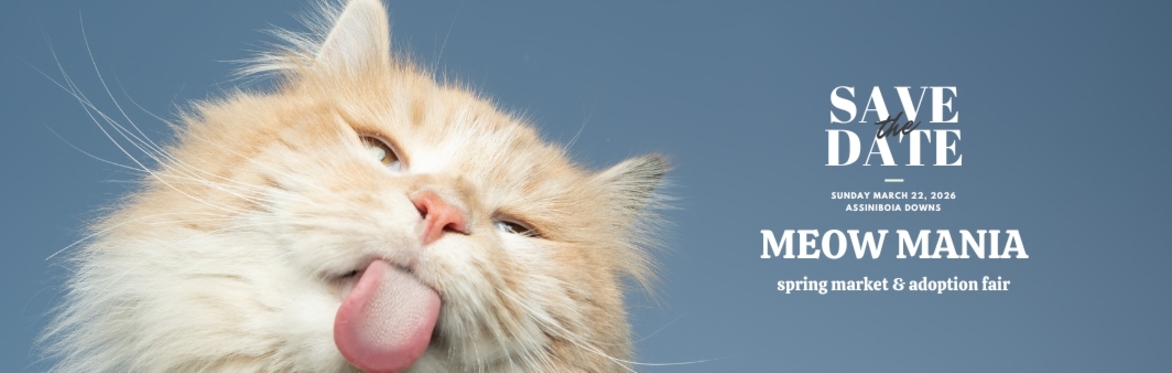 Meow Mania Spring Market & Adoption Fair