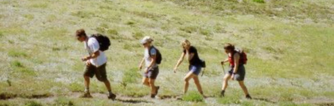 NAC - Black Butt Bush Walk