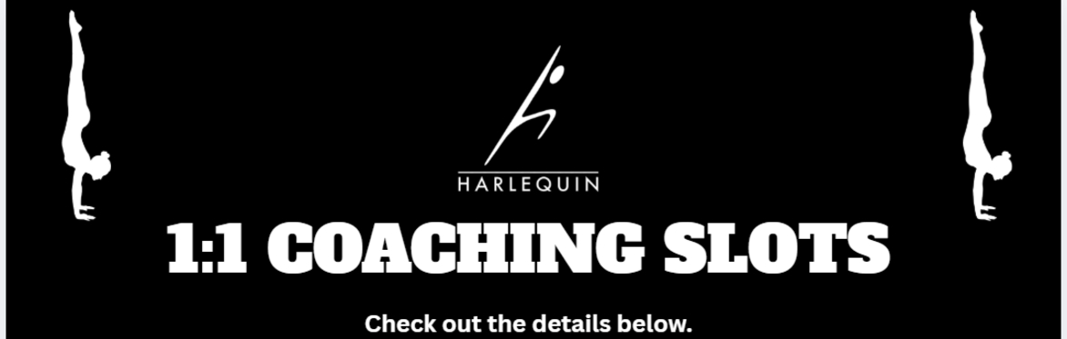 1:1 Coaching Slots