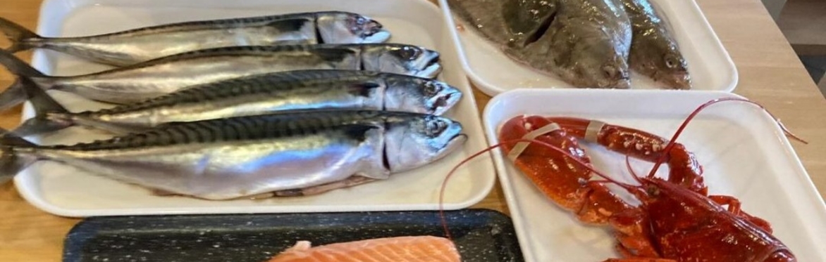 A selection of fish and shellfish