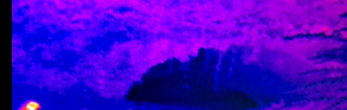 Free event - Bat Swarming at Dunmore Cave