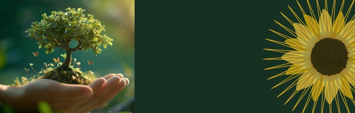 Hospice Wellington Circle of Care Information Session