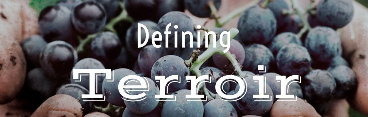 Friday Night Wine School - Defining Terroir, 5 Unique Oregon AVAs