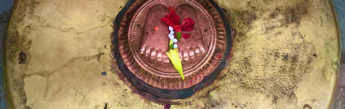 Autumn Cleanse & meditation practice ONLINE