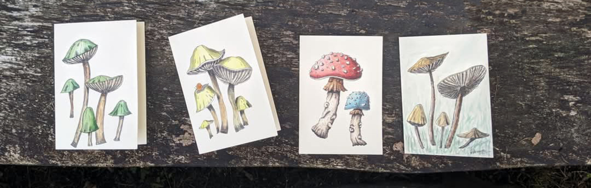 Botanical Painting with Jenny Challenger