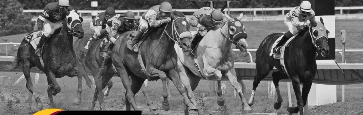 Night at the Races - Sponsored by Pittsburgh Gaelic Athletic Association