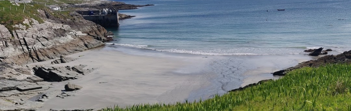 Inishturk Town Hall Meeting