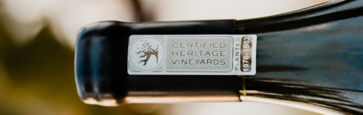 Friday Night Wine School -Quality Over Quantity – The Preservation of the Old Vines of South Africa