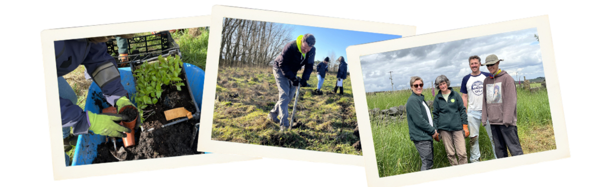 Community Tree Nursery - adult volunteer sessions