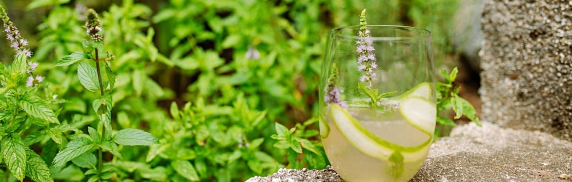 Herbal Vinegar, Shrub & Hands-on Infusion Making Workshop