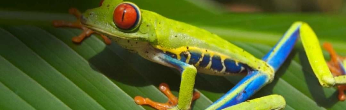 2024 Exotic Pet Expo
