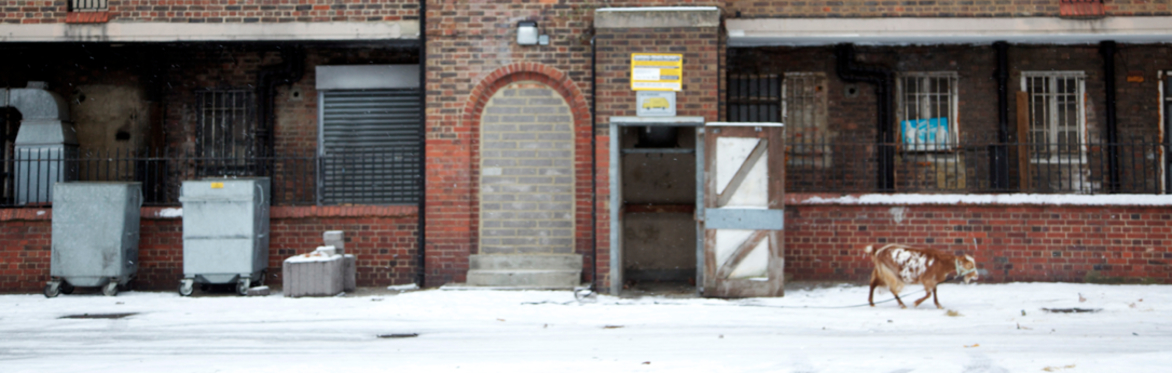 Film Screening: Estate, a Reverie