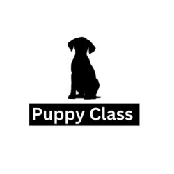 Puppy Class start date Sunday 28th June 2026 - 9:30AM-10:15AM - WSM - Paws and Play Dog Day Care
