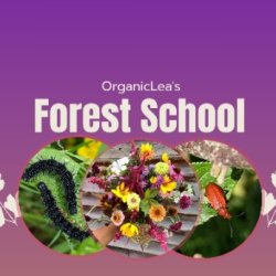OrganicLea's Forest School SummerTerm 26