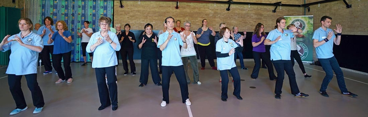 BELGIUM: A Taste of Different Tai Chi Styles (Yang, Sun & Chen) with Dr Paul Lam