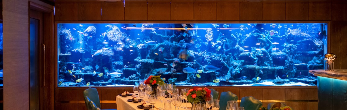 BDLA Members Networking Lunch, London