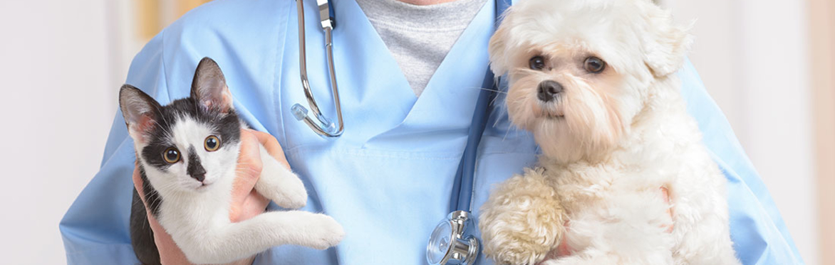 Low Cost Vaccine Clinic
