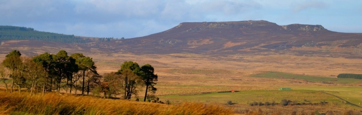 Buy tickets – Hidden Hepple: Simonside Ridge Walk – Hepple Estate