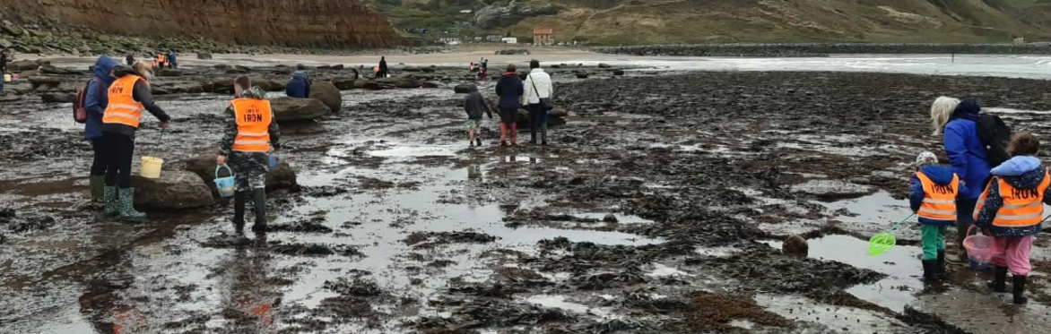 Rock Pooling at Land of Iron