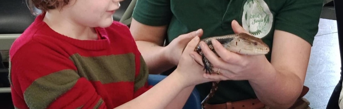 Holmbridge 5-10s zoology home education workshop
