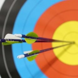 A target with three arrows in the centre