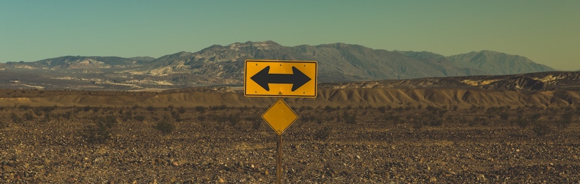 ONLINE Workshop: Taking stock, making plans