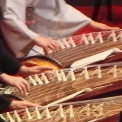 playing koto ensemble