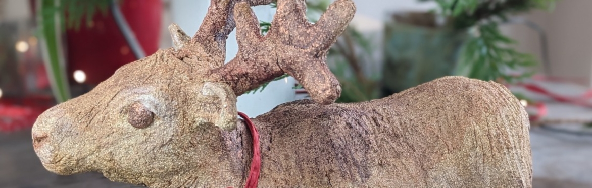 REINDEER
