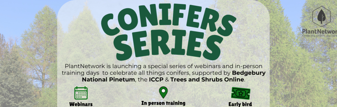 Conifer propagation