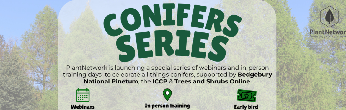 History and engagement with conifer plant collecting
