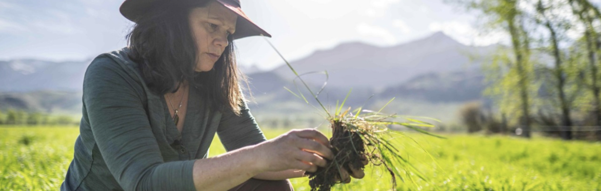 Nicole Masters - For the Love of Soil @ Common Knowledge